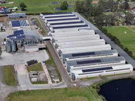 Captured at Pirovic Family Farms, Llandilo NSW Australia.