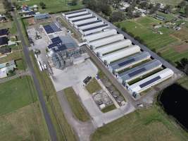 Captured at Pirovic Family Farms, Llandilo NSW Australia.