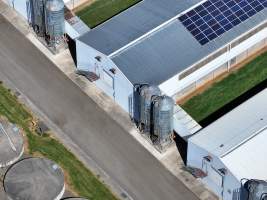 Captured at Pirovic Family Farms, Llandilo NSW Australia.