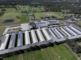 Captured at Pirovic Family Farms, Llandilo NSW Australia.