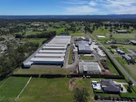 Captured at Pirovic Family Farms, Llandilo NSW Australia.