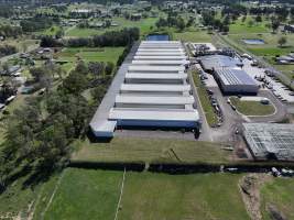 Captured at Pirovic Family Farms, Llandilo NSW Australia.