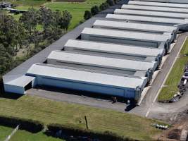 Captured at Pirovic Family Farms, Llandilo NSW Australia.