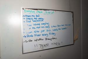 Captured at Bridgewater Poultry (Egg) Farm, Bridgewater VIC Australia.