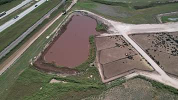Dumas Feedyard - Captured at DUMAS FEEDYARD, Dumas TX United States.