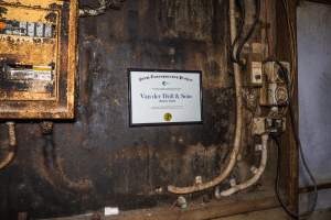 FTP Pig Industry Awards - 2025 - Farm Transparency Project awarded four Victorian piggeries the prize for Outstanding Cruelty to Pigs. Anonymous activists downloaded the certificates from the FTP website and hand-delivered them to the piggeries.
Second Place - Van Der Drift & Sons: This giant piggery was found to be infested with cockroaches and flies, with piglets suffering from mange while another was found with their leg trapped between the metal bars of a farrowing crate floor. The dead sows found dumped outside were, impressively, just the tip of the iceberg, with paperwork indicating that a sow died almost every day last year. - Captured at Van der Drift & Sons Piggery, Macorna VIC Australia.