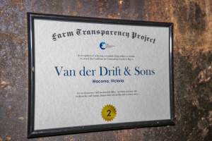 FTP Pig Industry Awards - 2025 - Farm Transparency Project awarded four Victorian piggeries the prize for Outstanding Cruelty to Pigs. Anonymous activists downloaded the certificates from the FTP website and hand-delivered them to the piggeries.
Second Place - Van Der Drift & Sons: This giant piggery was found to be infested with cockroaches and flies, with piglets suffering from mange while another was found with their leg trapped between the metal bars of a farrowing crate floor. The dead sows found dumped outside were, impressively, just the tip of the iceberg, with paperwork indicating that a sow died almost every day last year. - Captured at Van der Drift & Sons Piggery, Macorna VIC Australia.