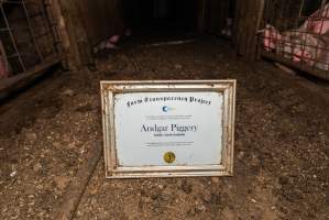 FTP Pig Industry Awards - 2025 - Farm Transparency Project awarded four Victorian piggeries the prize for Outstanding Cruelty to Pigs. Anonymous activists downloaded the certificates from the FTP website and hand-delivered them to the piggeries.
First Place - Andgar Piggery: Pigs drowning in their own waste; a pile of rotting corpses dumped in a pen inside one of the sheds, with live pigs stuck amongst them; large necrotic wounds; the list goes on. But Andgar wanted to be certain, to really make sure they clinched this award, and so last month, two sheds caught fire and around 350 pigs burned to death. - Captured at Andgar Piggery, Dublin SA Australia.