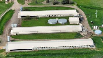 Drone flyover - Captured at Farm Pride Bears Lagoon - Pullet raising, Bears Lagoon VIC Australia.