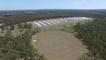 Drone flyover - Captured at Inghams Broiler Farm, Bargo NSW Australia.