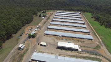 Drone flyover - Captured at Inghams Broiler Farm, Bargo NSW Australia.
