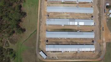 Drone flyover - Captured at Inghams Broiler Farm, Bargo NSW Australia.