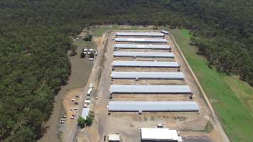 Drone flyover - Captured at Inghams Broiler Farm, Bargo NSW Australia.