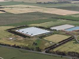 Drone flyover of broiler (meat) chicken farm - Captured at Pavilion Farm 6, Anakie VIC Australia.