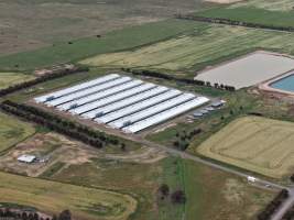 Drone flyover of broiler (meat) chicken farm - Captured at Pavilion Farm 6, Anakie VIC Australia.