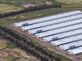 Drone flyover of broiler (meat) chicken farm - Captured at Pavilion Farm 6, Anakie VIC Australia.