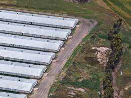 Drone flyover of broiler (meat) chicken farm - Captured at Pavilion Farm 6, Anakie VIC Australia.