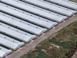 Drone flyover of broiler (meat) chicken farm - Captured at Pavilion Farm 6, Anakie VIC Australia.