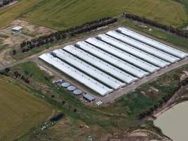 Drone flyover of broiler (meat) chicken farm - Captured at Pavilion Farm 6, Anakie VIC Australia.