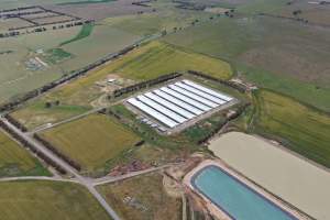Drone flyover of broiler (meat) chicken farm - Captured at Pavilion Farm 6, Anakie VIC Australia.