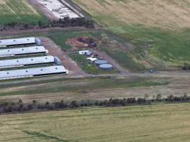 Drone flyover of broiler (meat) chicken farm - Captured at Pavilion Farm 1, Anakie VIC Australia.