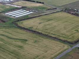 Drone flyover of broiler (meat) chicken farm - Captured at Pavilion Farm 1, Anakie VIC Australia.