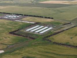 Drone flyover of broiler (meat) chicken farm - Captured at Pavilion Farm 1, Anakie VIC Australia.