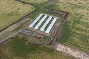 Drone flyover of broiler (meat) chicken farm - Captured at Pavilion Farm 1, Anakie VIC Australia.