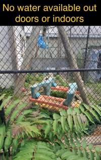 Dawn Animal Agency Evidence - Via Justice for Fritha - Captured at Dawn Animal Agency, Westtown NY United States.