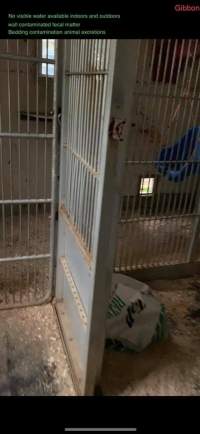 Dawn Animal Agency Evidence - Via Justice for Fritha - Captured at Dawn Animal Agency, Westtown NY United States.