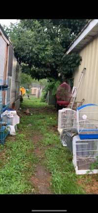 Dawn Animal Agency Evidence - Via Justice for Fritha - Captured at Dawn Animal Agency, Westtown NY United States.