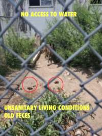 Dawn Animal Agency Evidence - Via Justice for Fritha - Captured at Dawn Animal Agency, Westtown NY United States.