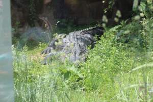 Turtle Back Zoo - Photos taken at the Turtle Back Zoo in West Orange, New Jersey. - Captured at Turtle Back Zoo, West Orange NJ United States.