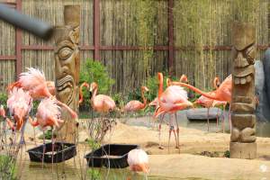 Turtle Back Zoo - Photos taken at the Turtle Back Zoo in West Orange, New Jersey. - Captured at Turtle Back Zoo, West Orange NJ United States.