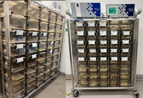 Rodent Housing - Photo of the rodent housing at Guttenberg Information Technologies Center, NJIT in Newark, New Jersey.
Sourced from their site: https://research.njit.edu/cibm3/animal-satellite-facility-and-behavioral-suite - Captured at Guttenberg Information Technologies Center, NJIT, Newark NJ United States.