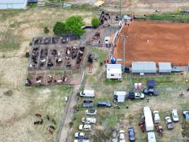 Captured at Yass Show Society - Rodeo Arena, Yass NSW Australia.