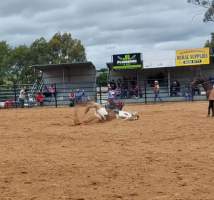 Captured at Yass Show Society - Rodeo Arena, Yass NSW Australia.