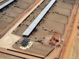 Captured at Gundamain Feedlot, Eugowra NSW Australia.