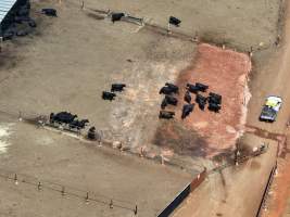 Captured at Gundamain Feedlot, Eugowra NSW Australia.