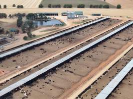 Captured at Gundamain Feedlot, Eugowra NSW Australia.