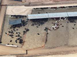 Captured at Gundamain Feedlot, Eugowra NSW Australia.