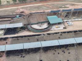 Captured at Gundamain Feedlot, Eugowra NSW Australia.