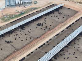Captured at Gundamain Feedlot, Eugowra NSW Australia.