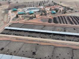 Captured at Gundamain Feedlot, Eugowra NSW Australia.