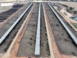 Captured at Gundamain Feedlot, Eugowra NSW Australia.