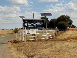Captured at Gundamain Feedlot, Eugowra NSW Australia.