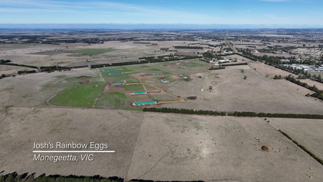 Eggs Uncaged Cruelty Compilation