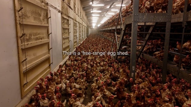 Bridgewater Barn Life