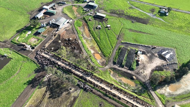NSW Dairy farming 2025 - Drone