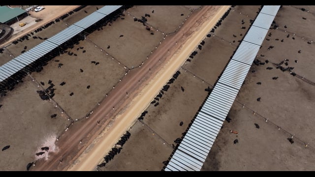 DJI_20251121153054_0035_D